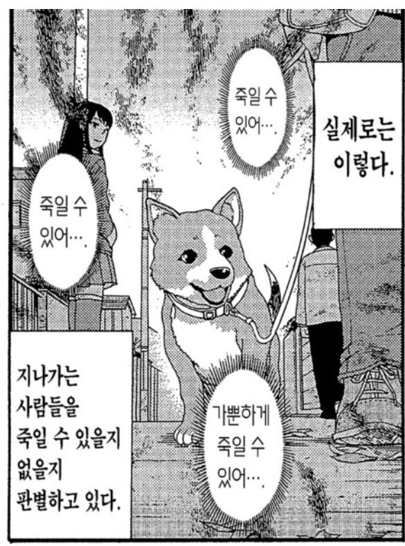 산책 나간 댕댕이가 사람들을 유심히 쳐다보는 이유_1.jpg