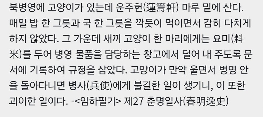 조선시대에 있던 의외의 병과.jpg_1.jpg