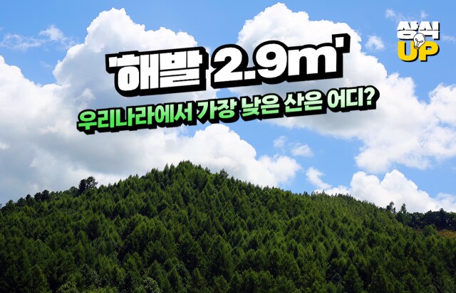 해발고도 2900의 한반도 최고 산의 정상 풍경 수준. jpg_1.png