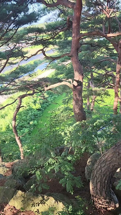 해발고도 2900의 한반도 최고 산의 정상 풍경 수준. jpg_3.jpg