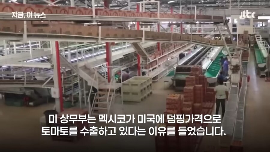 미국 멕시코 토마토에 관세인상_2.jpg