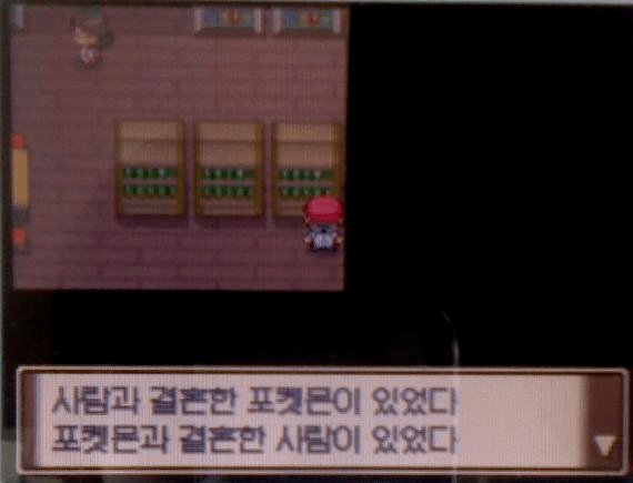 사람과 결혼한 포켓몬이 있었다_1.webp