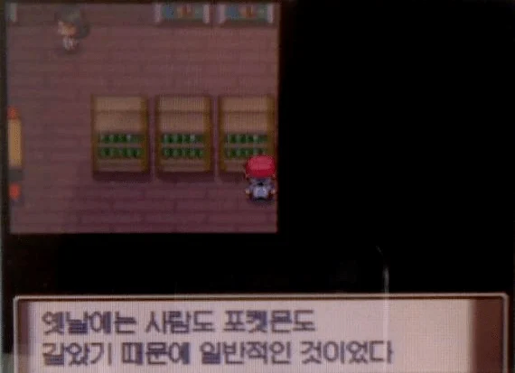 사람과 결혼한 포켓몬이 있었다_11.webp