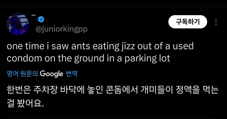 개미는 맛잘알 영양잘알_2.jpg