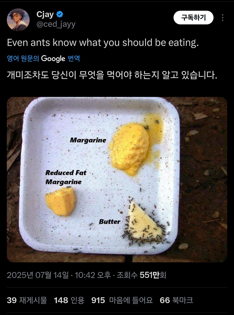 개미는 맛잘알 영양잘알_1.jpg