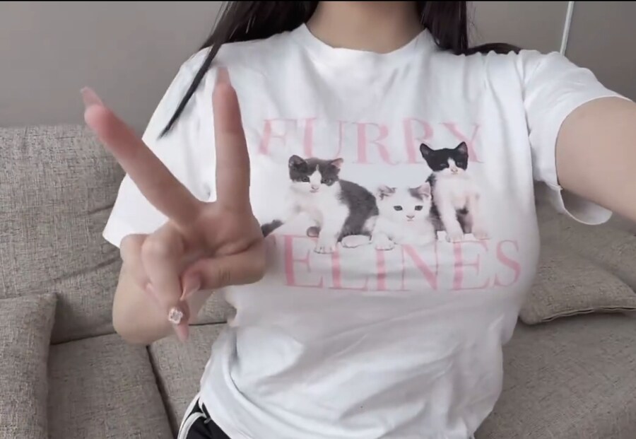 아기 고양이 3마리_1.jpg