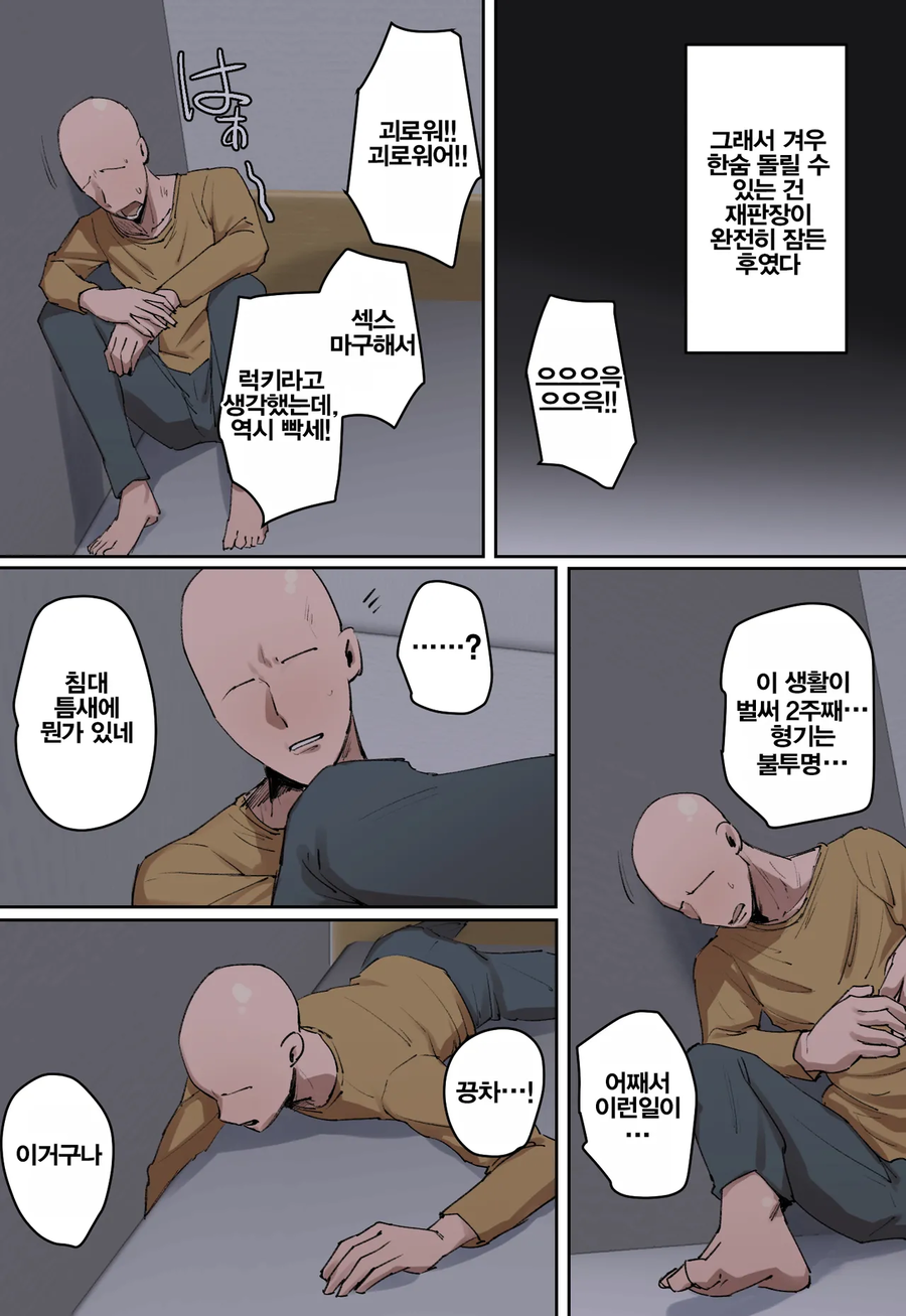 범죄자한테 딜도형 판결을 내린 여판사_7.webp