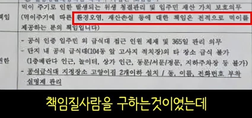 캣맘들이 사라진 이유_7.jpg