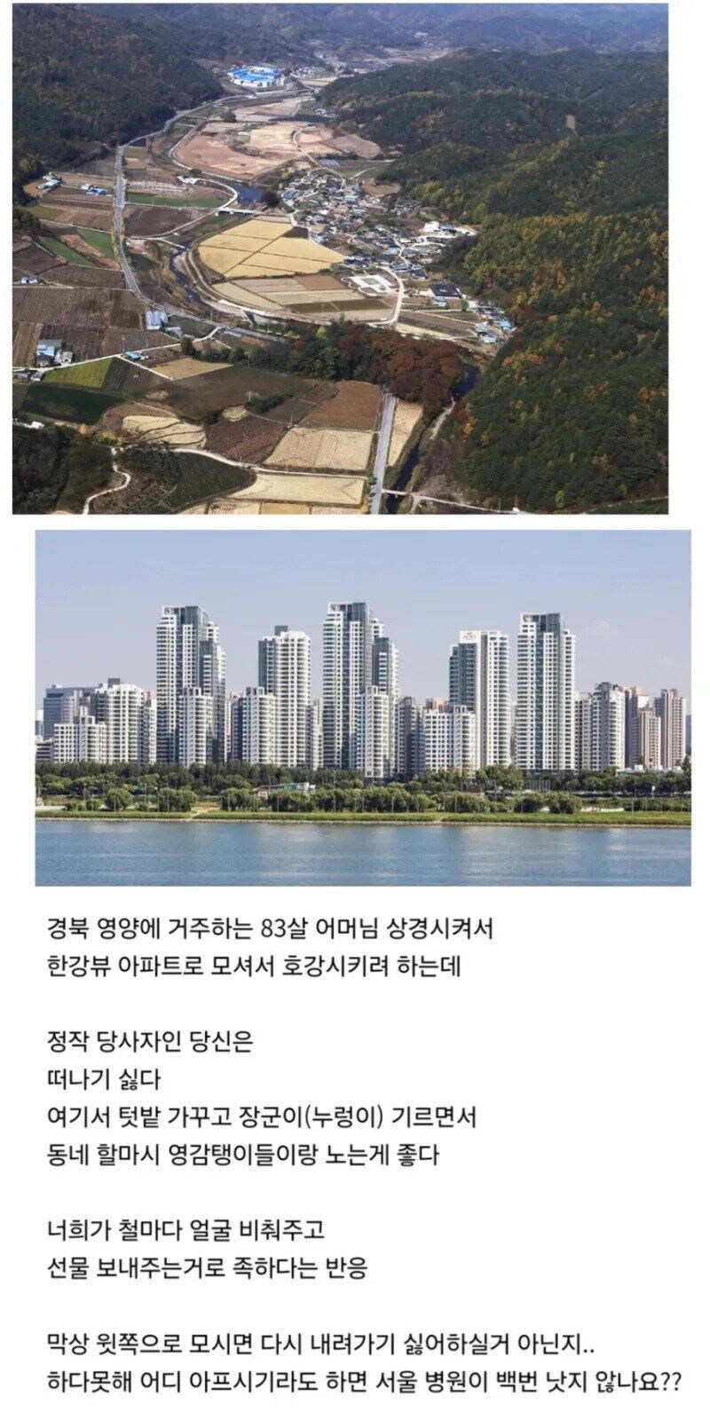 자식들이 고급 한강뷰 아파트 모시겟다니 거절하는 어르신_2.jpg