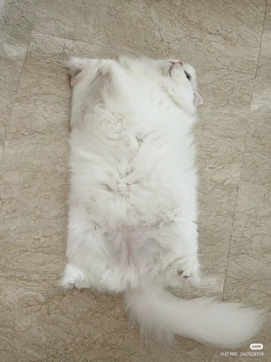네모난 침대에서 일어나 눈을 떠보면_1.jpg