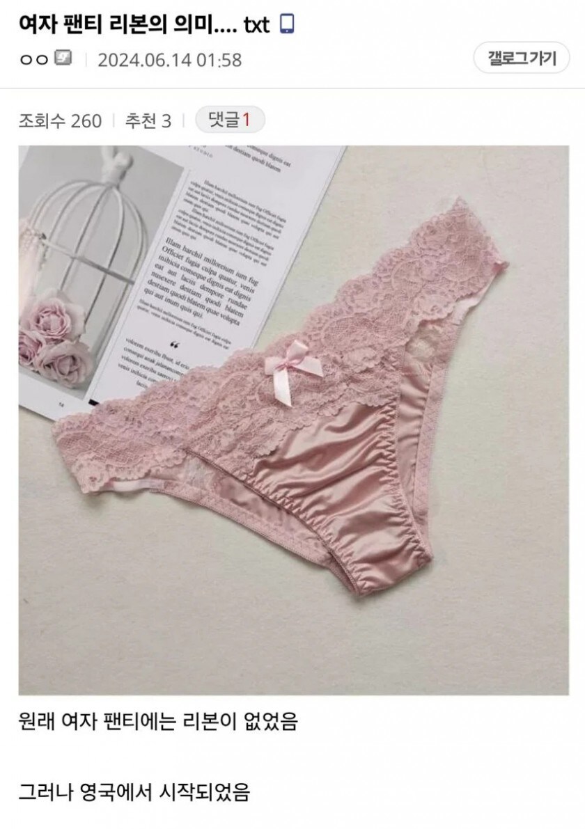 여자팬티 리본의 의미 ???_1.jpg