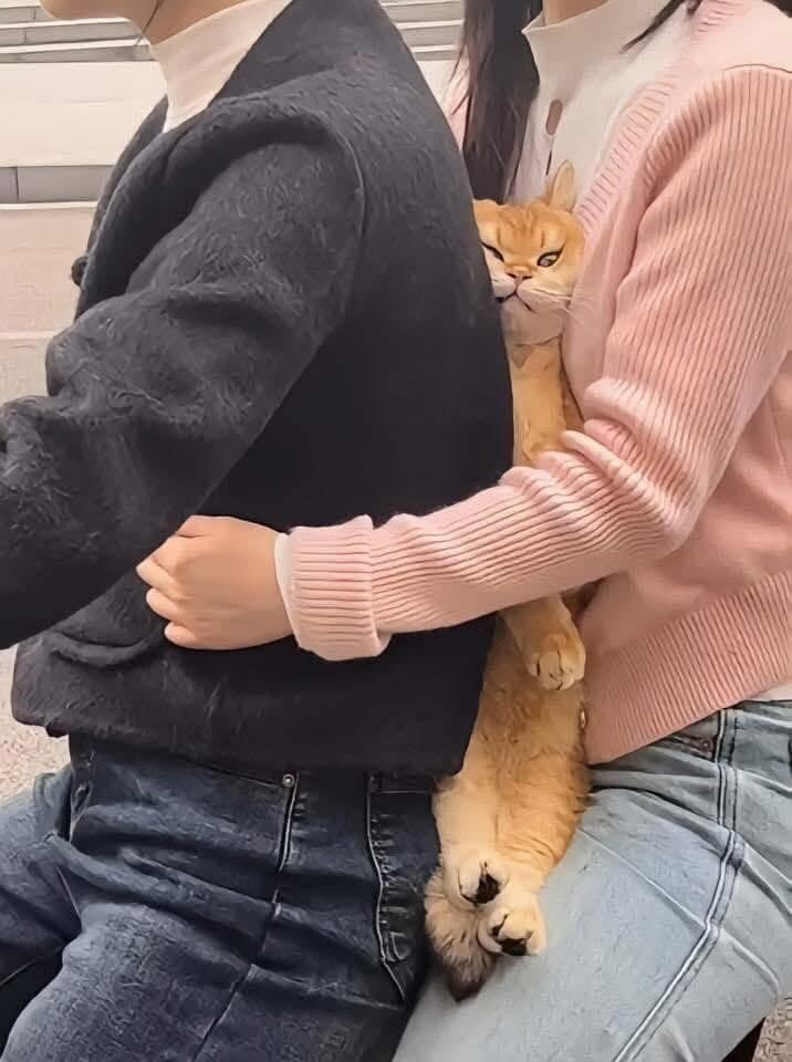 죽인다냥. 죽일거다냥. 죽여버린ㄷ냐아아앙ㅇ_2.jpg