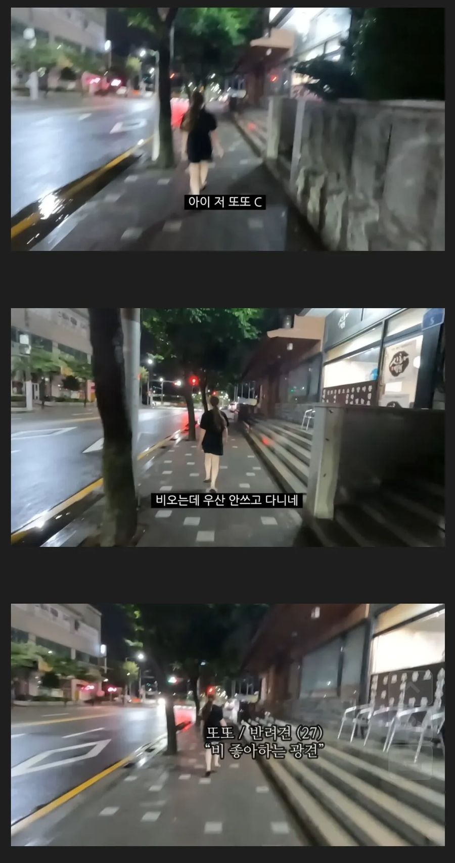 서양 애들이 우산 안 쓰는 이유_1.webp