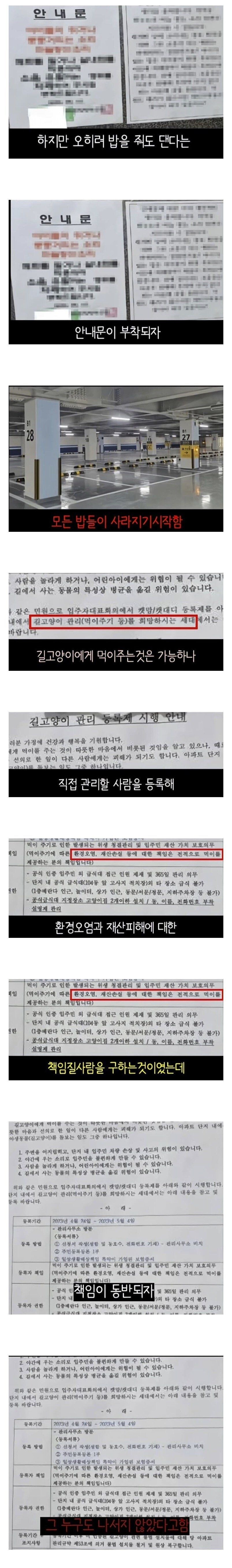 캣맘들의 영압이..사라졋어?_1.jpg