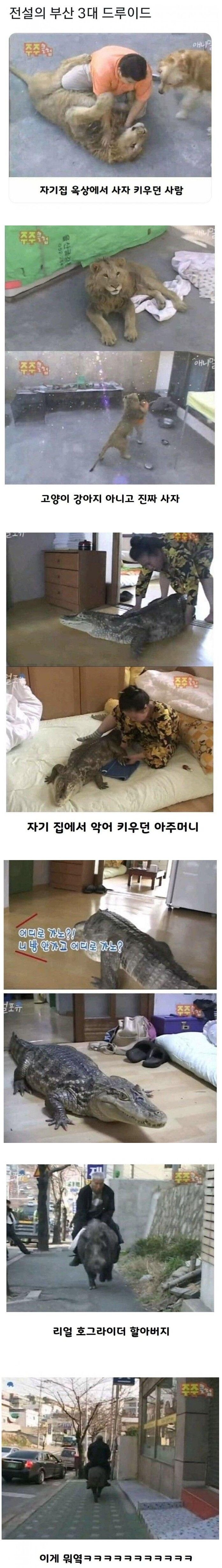 야만의 시절 부산 3대 드루이드.JPG_1.jpg