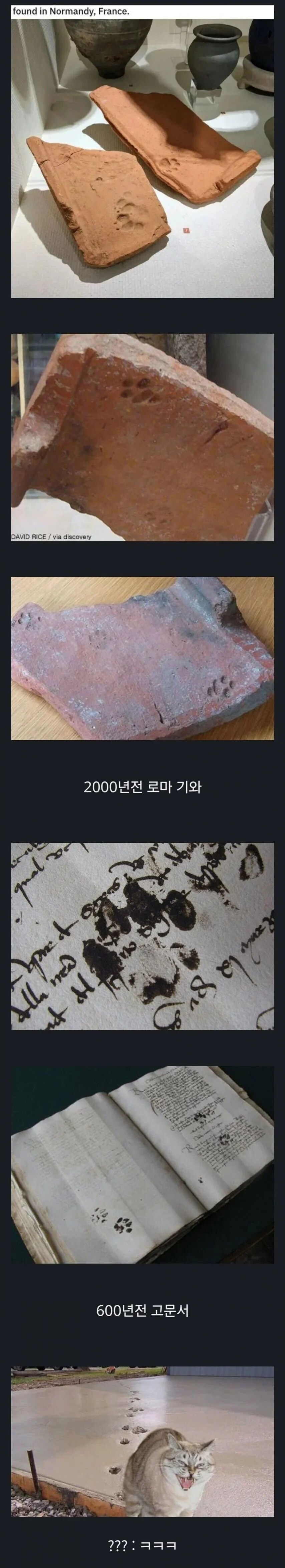 수천년간 본능에 충실한 짐승_1.jpg