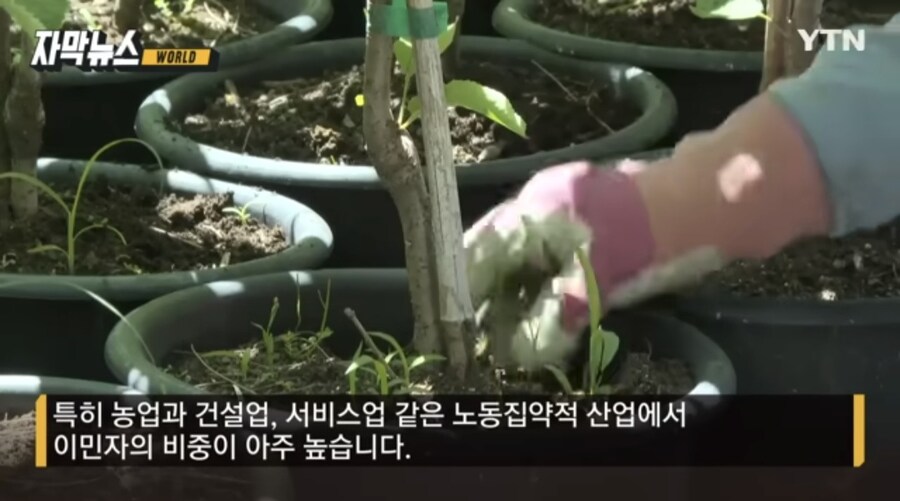 트럼프의 불법이민자 강제추방 정책으로 인한 경기침체 우려._2.jpg