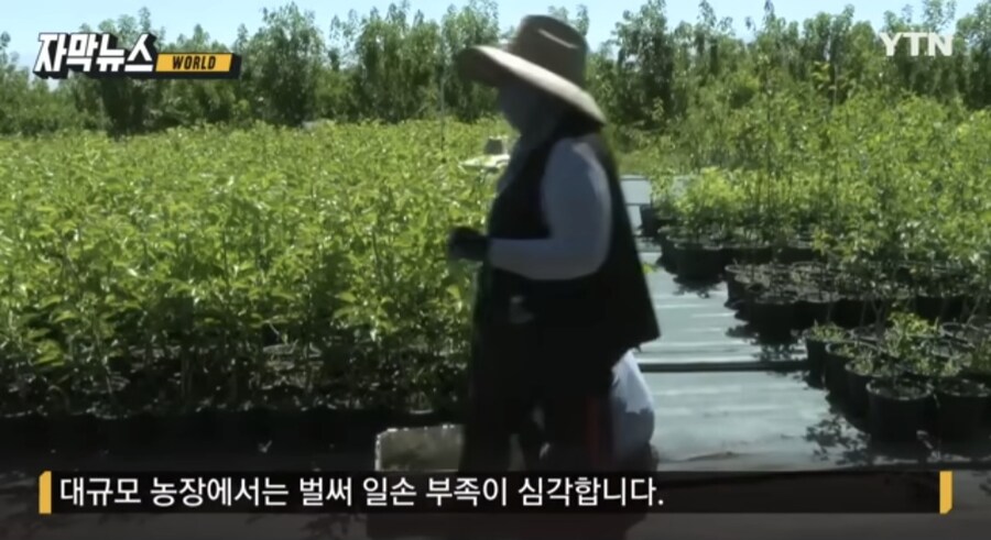 트럼프의 불법이민자 강제추방 정책으로 인한 경기침체 우려._3.jpg
