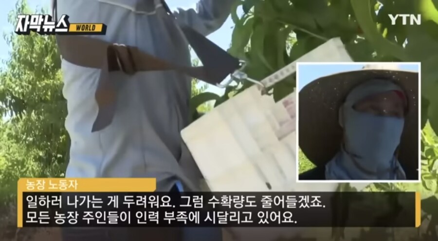 트럼프의 불법이민자 강제추방 정책으로 인한 경기침체 우려._4.jpg