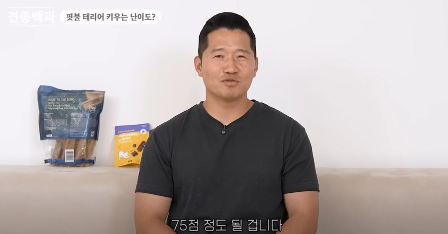 의외로 키우는 난이도 자체는 높지 않다는 핏불 테리어.jpg_5.png