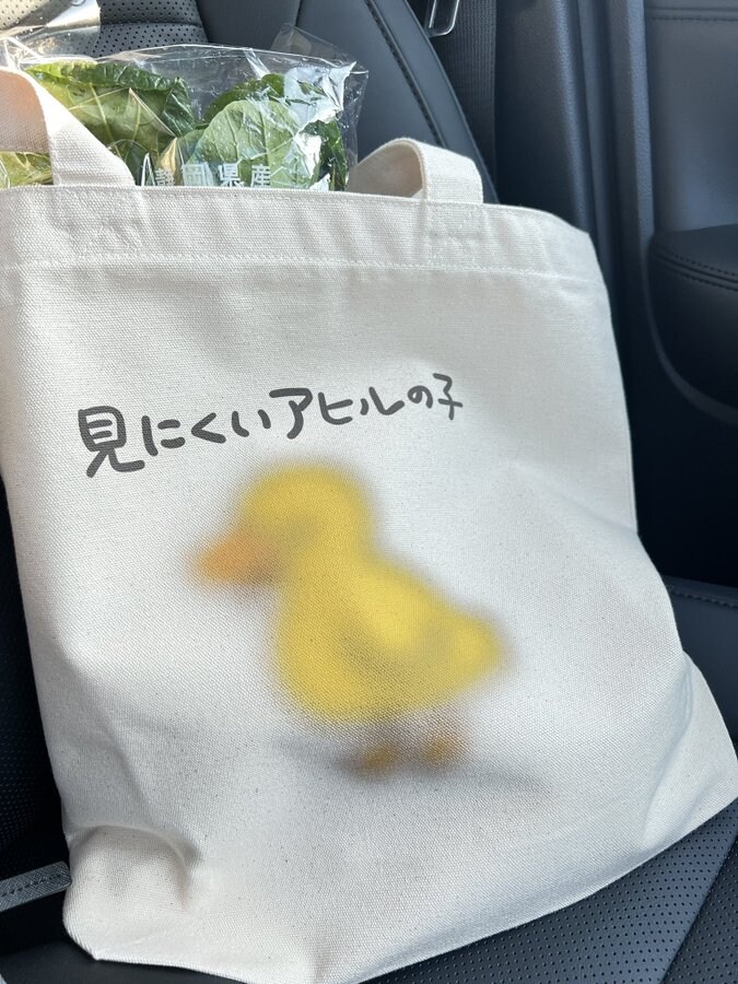 안심하세요. 당신의 눈은 정상입니다_1.jpg