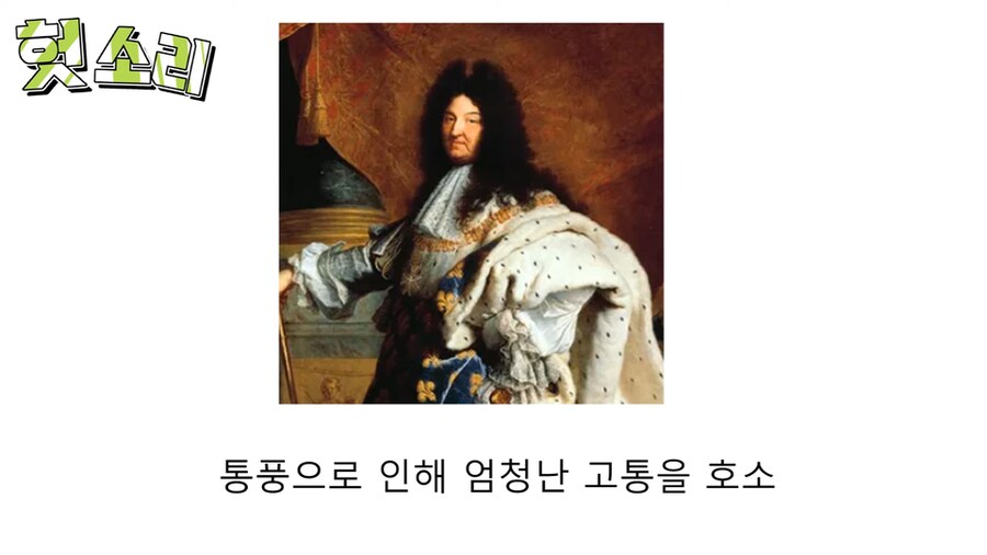 인자강 그 자체였던 루이 14세.jpg_10.png