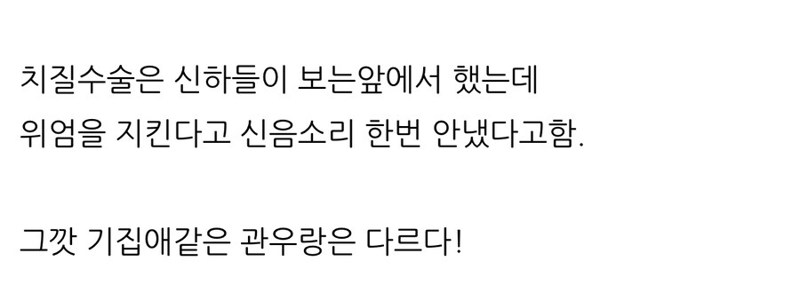 인자강 그 자체였던 루이 14세.jpg_24.jpg