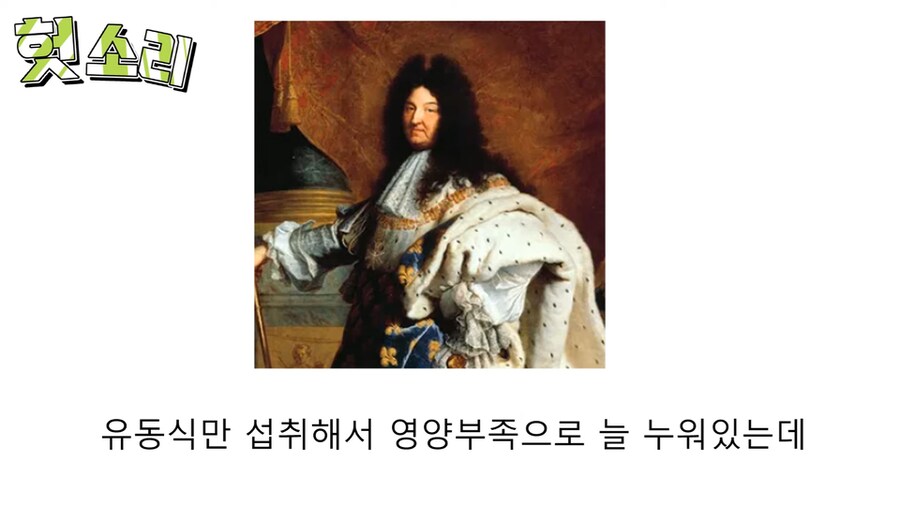인자강 그 자체였던 루이 14세.jpg_20.png