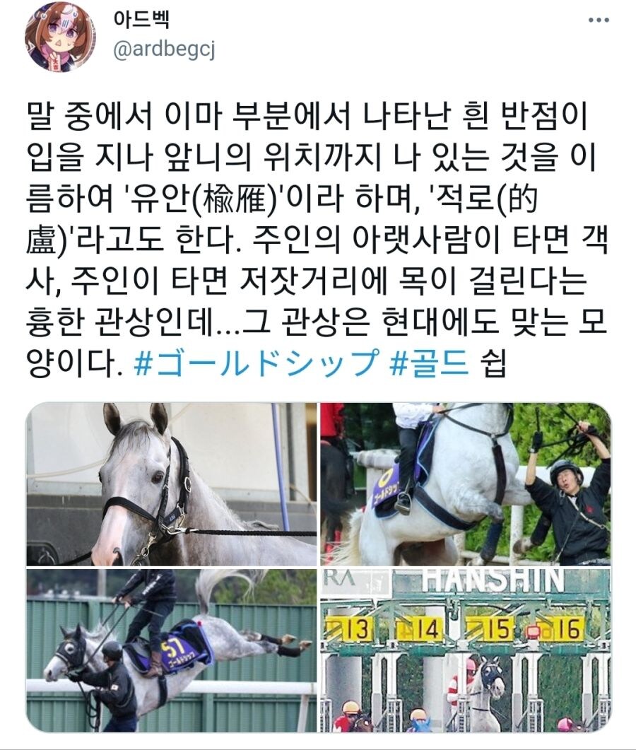골드쉽이 명마인 이유_1.jpg