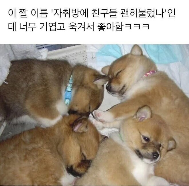 자취방에 친구 부른걸 후회함_1.jpg