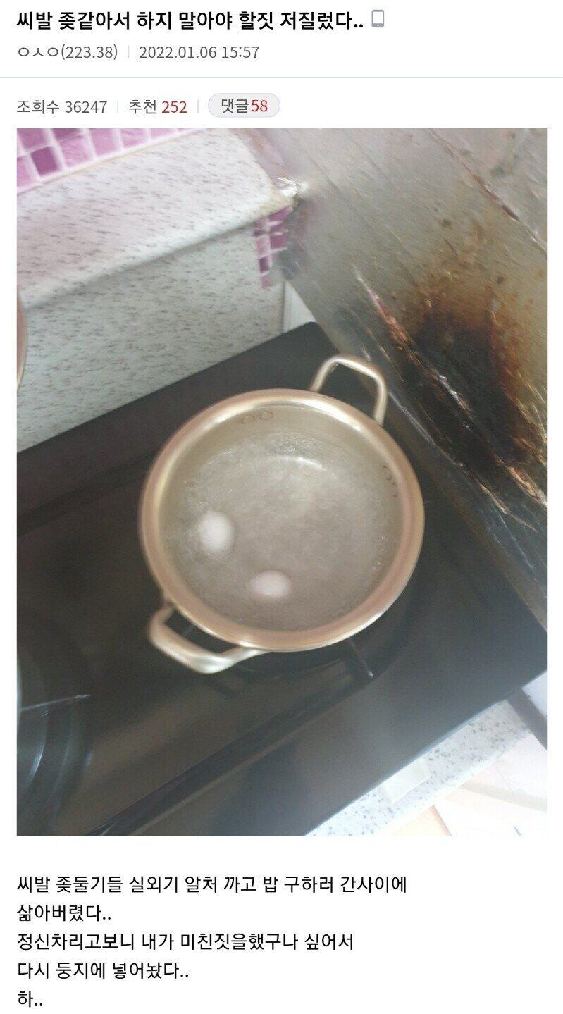 비둘기에게 끔찍한 짓을 한.jpg_1.jpg