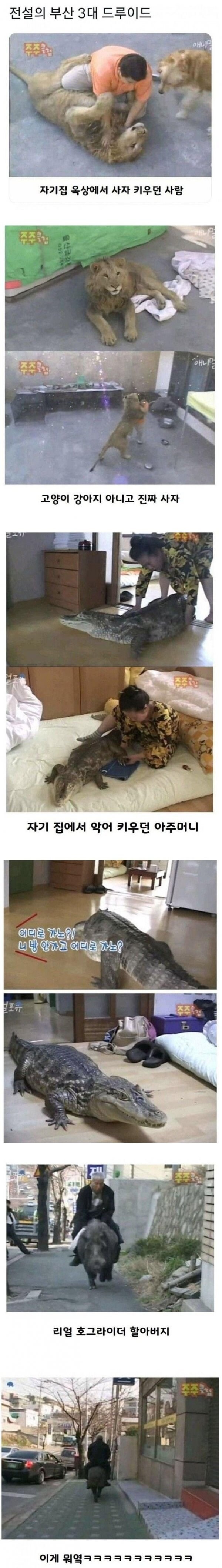 부산 전설의 3대 드루이드_1.jpg