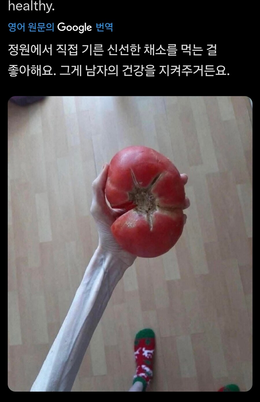 정원에서 기른 야채를 자랑하는 남자_1.jpg