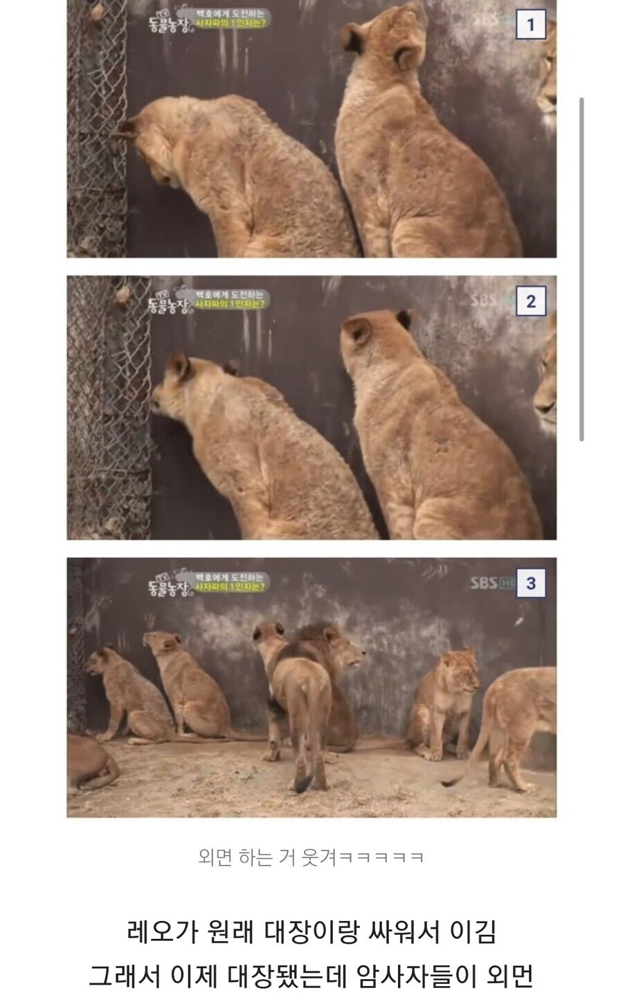 대장 됐는데 여자들이 외면하는 이유_2.jpg