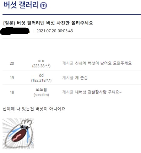 의외로 버섯 갤러리 금지 사항_1.png
