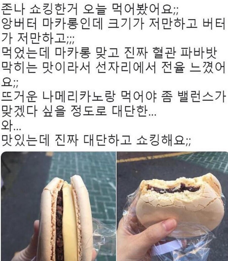 햄버거가 마카롱만하다고 햄카롱이라고 놀리더니_1.jpg