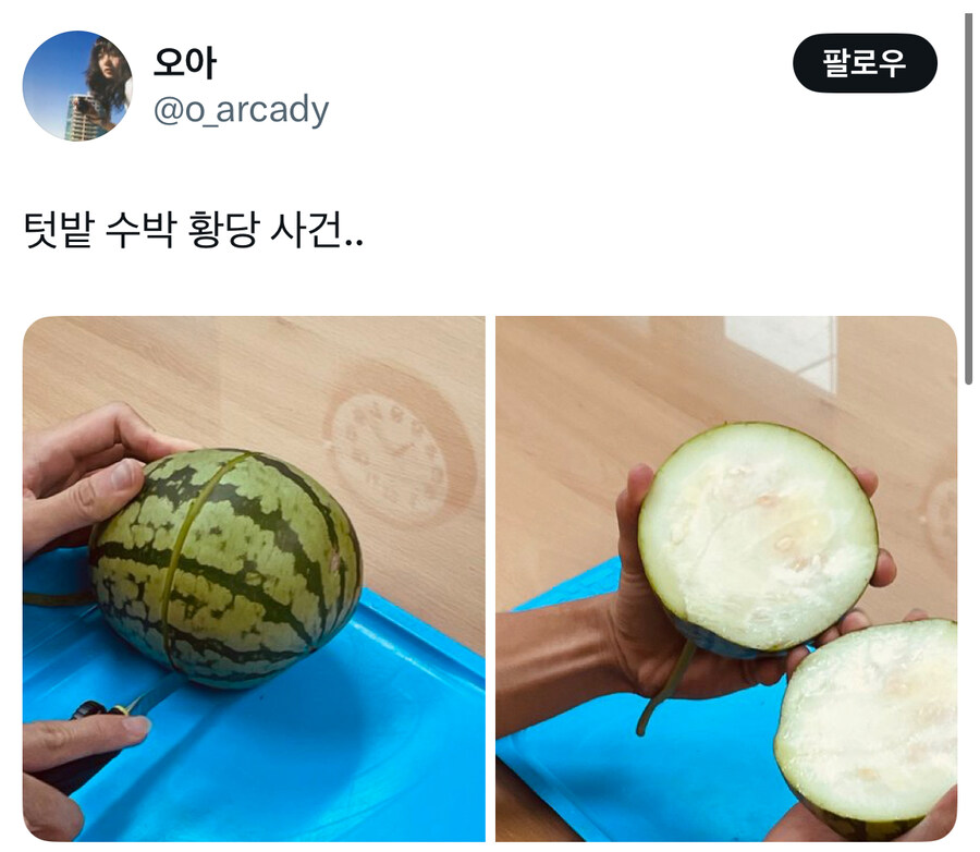 텃밭 수박 황당 사건.jpg_1.jpg