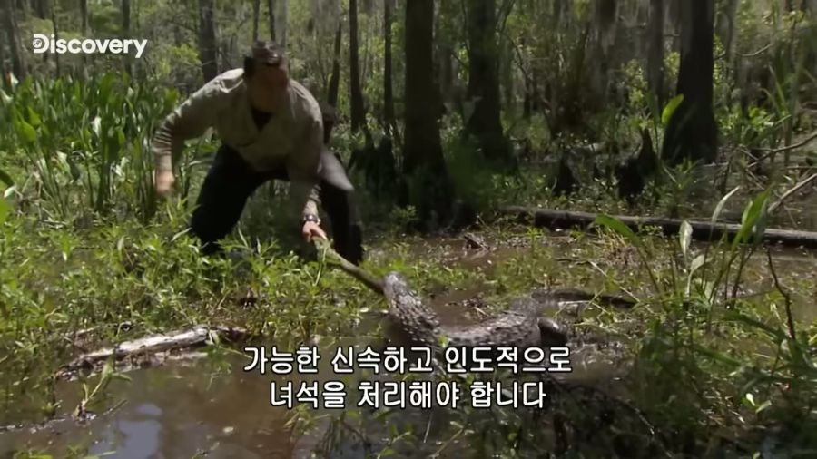 저지방 고기를 먹어서 행복하다는 베어 그릴스_1.jpg