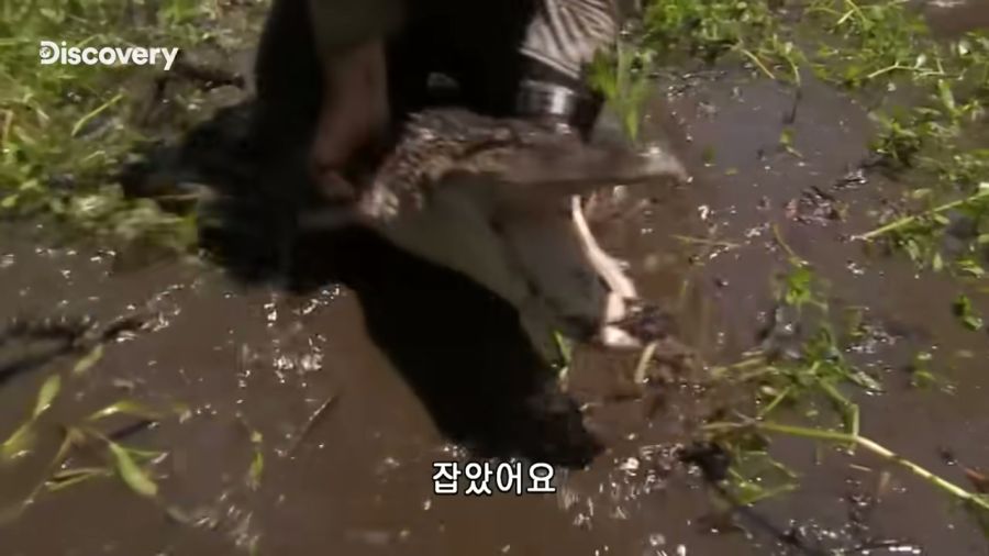 저지방 고기를 먹어서 행복하다는 베어 그릴스_2.jpg