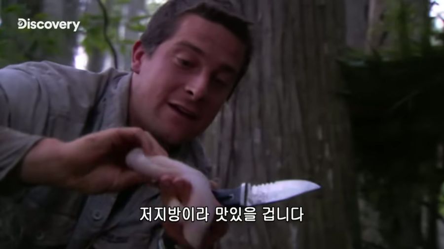 저지방 고기를 먹어서 행복하다는 베어 그릴스_11.jpg