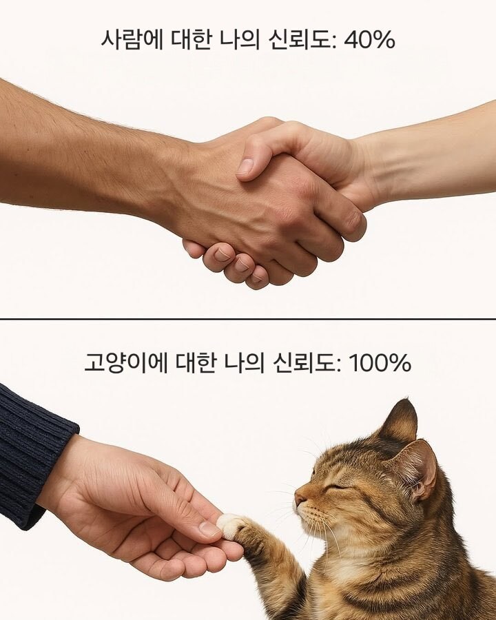 사람과 떼걸룩에 대한 나의 신뢰도 퍼센티지_1.jpg