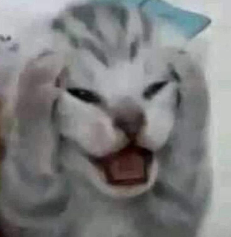 현시간 전국민이 겪고 있는 합법스팸_3.jpg