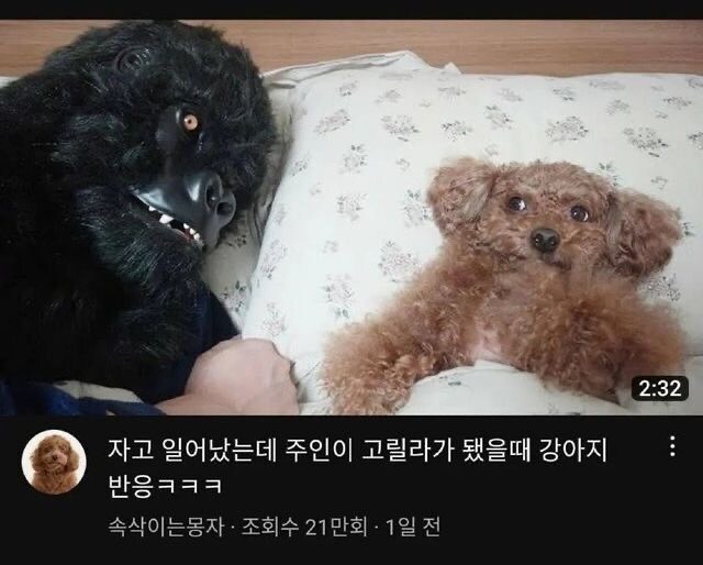쭈인아.... 머하는 거야...._1.png