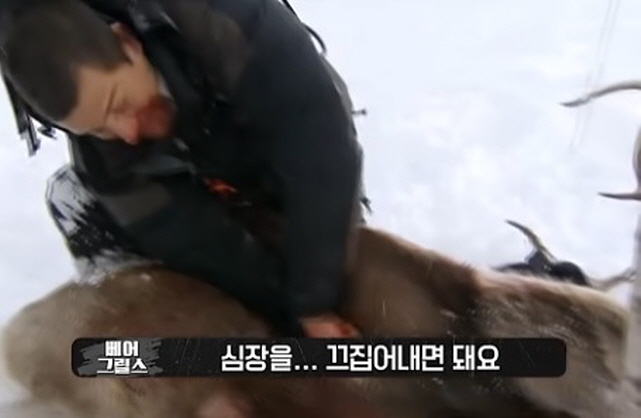 따뜻한 순록의 심장을 먹은 베어 그릴스_4.jpg