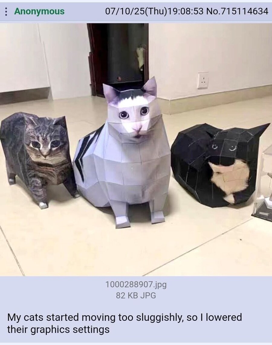 네모네모 고먐미.jpg_1.jpg
