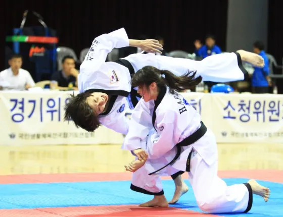 대한민국 무술협회들의 공통점_2.webp