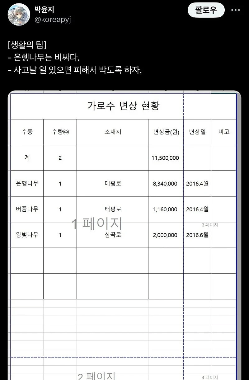 차로 나무를 박고나서 알게된거.jpg_1.webp