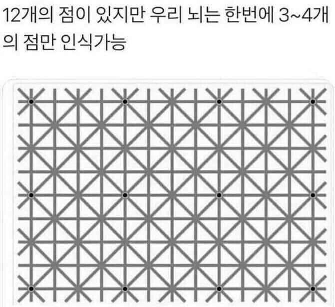 이 그림에는 12개의 점이 있어_1.jpg