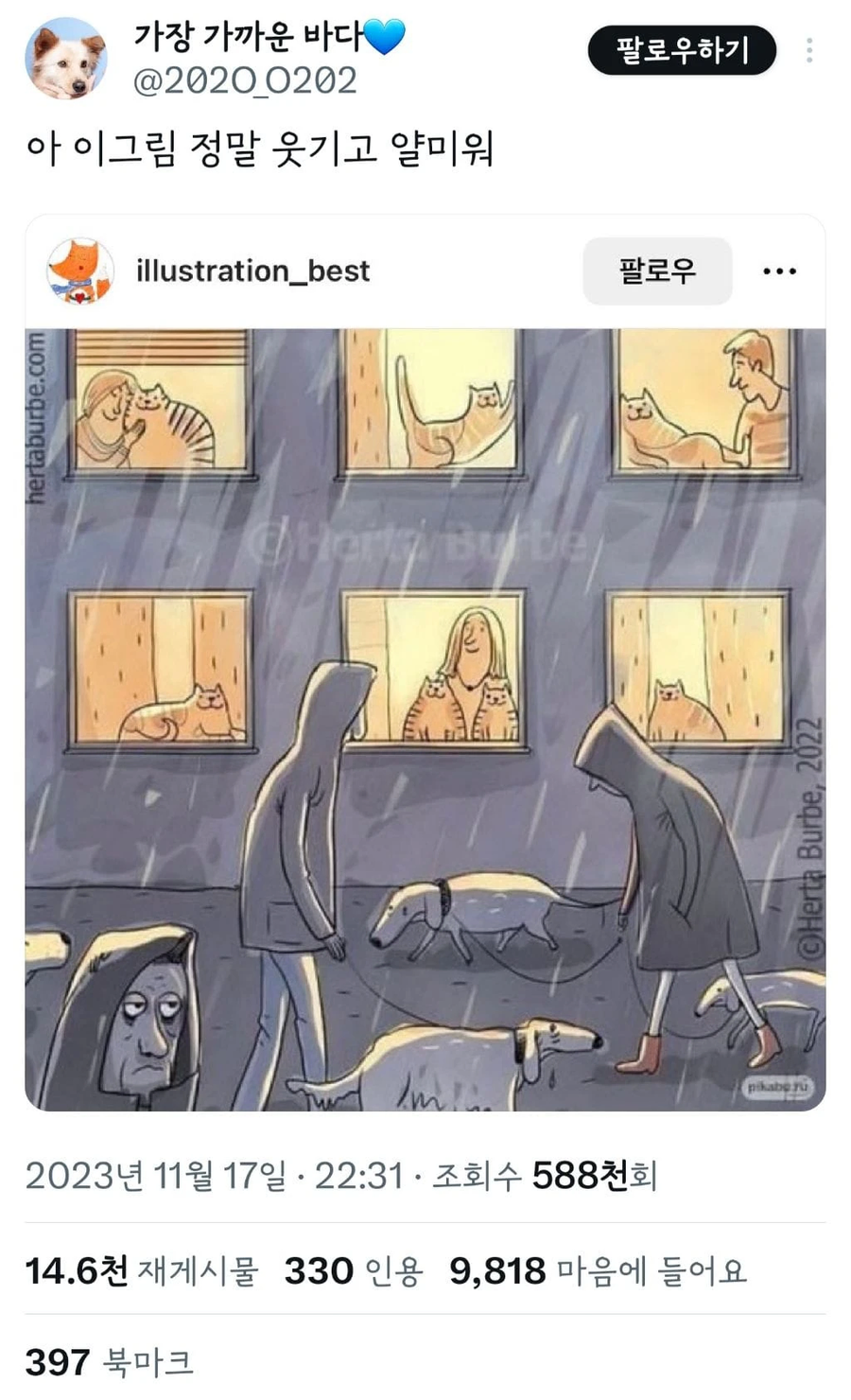 개 VS 고양이_1.webp