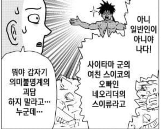 원펀맨. 수영복 스이코!_2.jpg